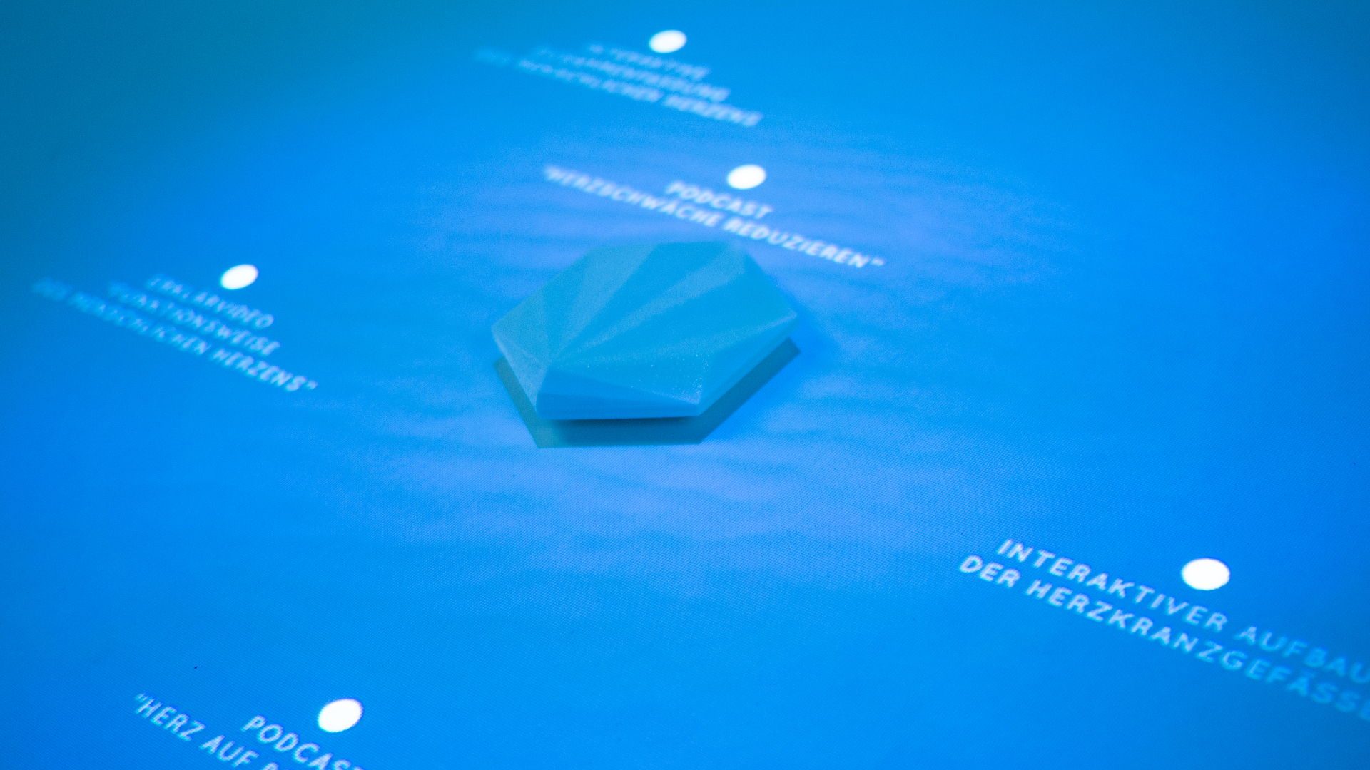 Interface der Anwendung