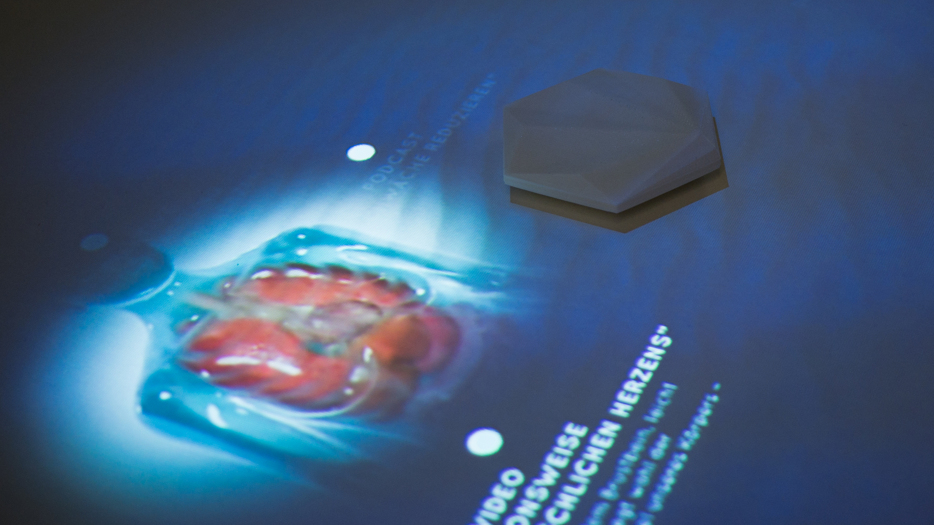 Interface der Anwendung